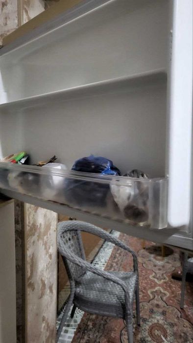 Muzlatgich.Холодильник