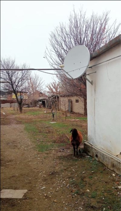 Тез арада үй сатамын