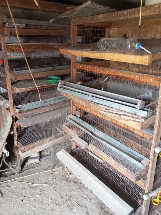 Бөдене сетка, брудер