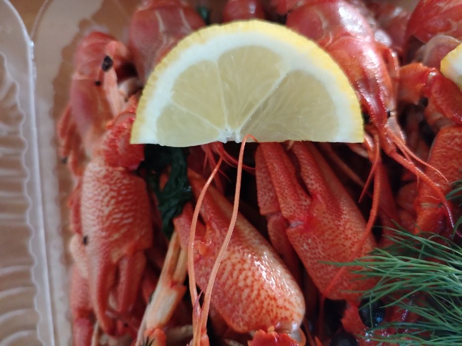 Раки морские живые