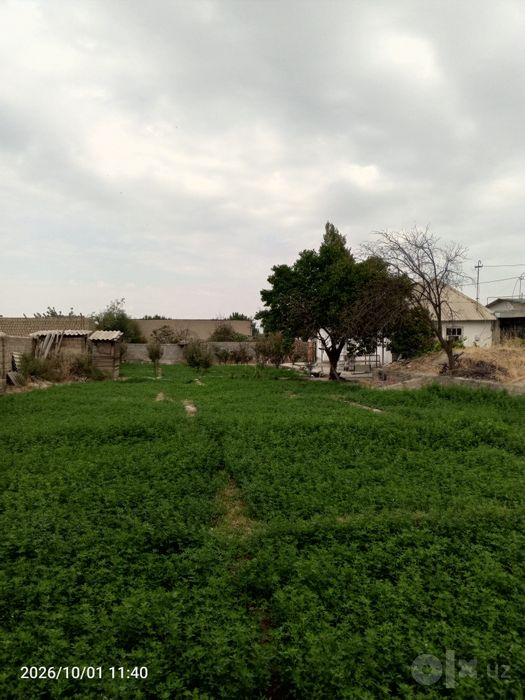 Pastdargʻom tumani Kamolot MFY Hamkorlik koʻchasi 10 uy