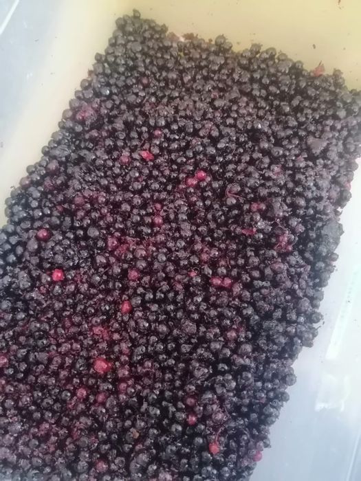 Замороженная смородина