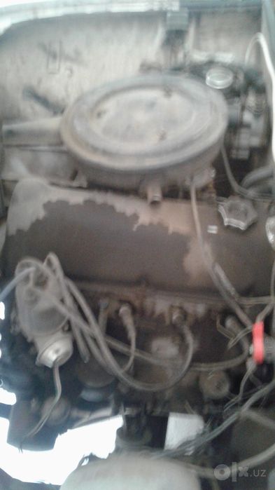 Vaz juguli 11 denov