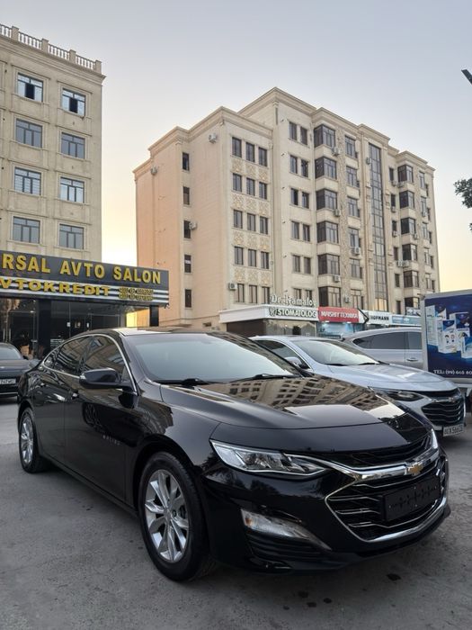 Malibu premier ideal holatda