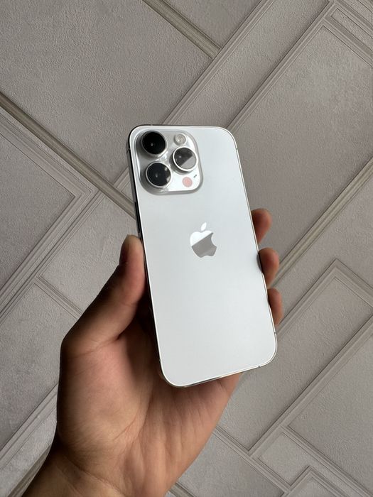 iPhone 14 Pro Silver