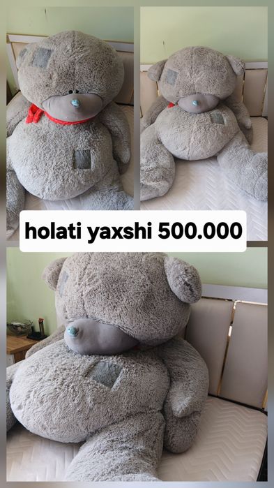 Teddy ayiq holati yaxshi