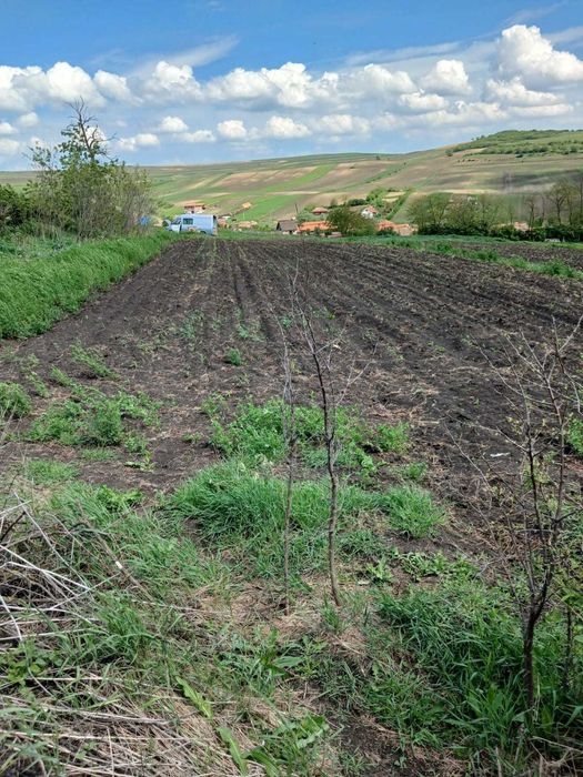 Casa de vanzare la țară - cu teren și utilitati