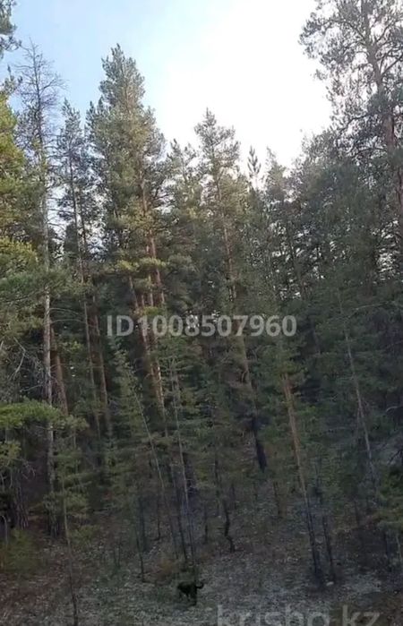 Квартира и коттедж,обмен