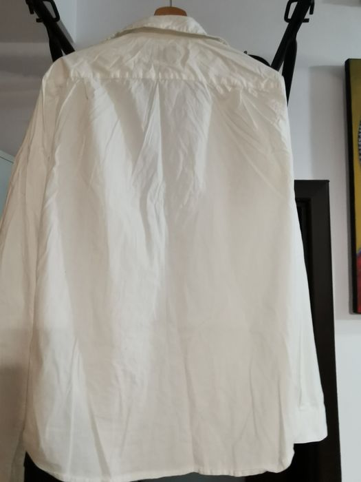 Camasa Springfield alba, L