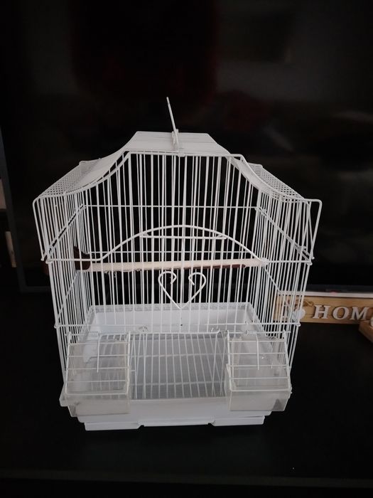 Colivie papagali / perusi / pasari