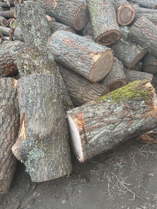 Aduc la preț accesibil