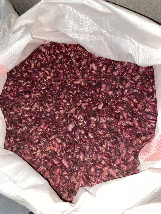 Маш рис фасоль нут лобия