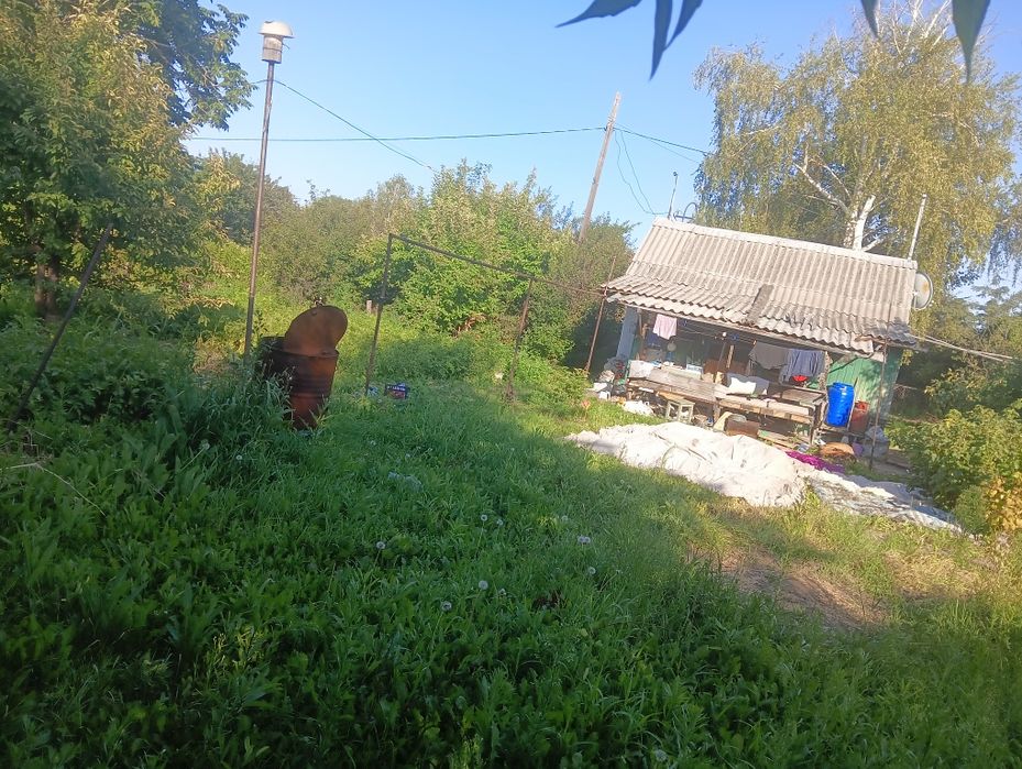 Срочно продам дачу