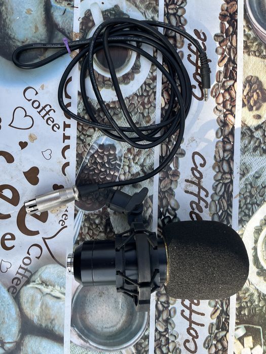 Microfon cu mufa xlr