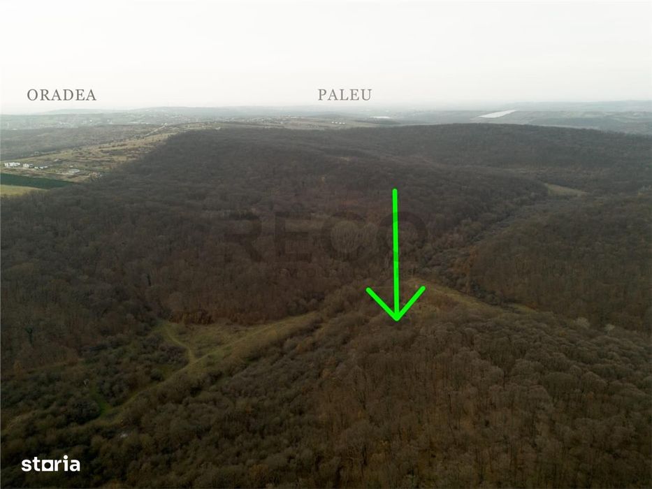 RECO . Teren extravilan . Saldabagiu de munte .