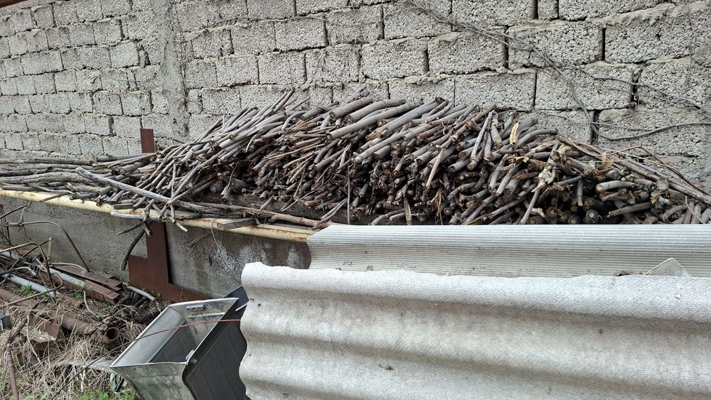 Отинла–дарахтла, дрова