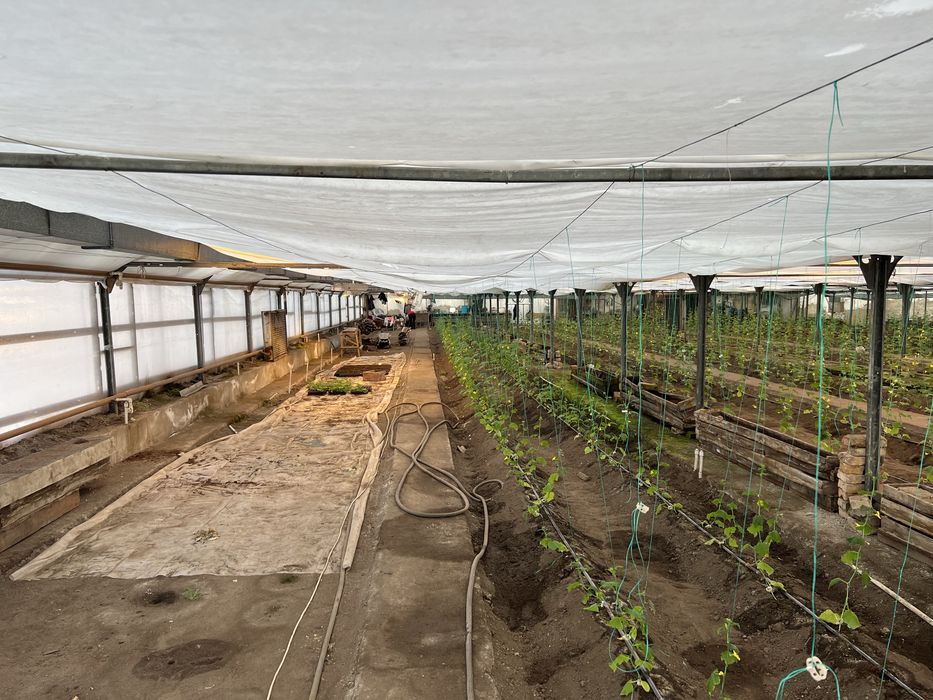 Теплица каркасная комплект 2500 м2