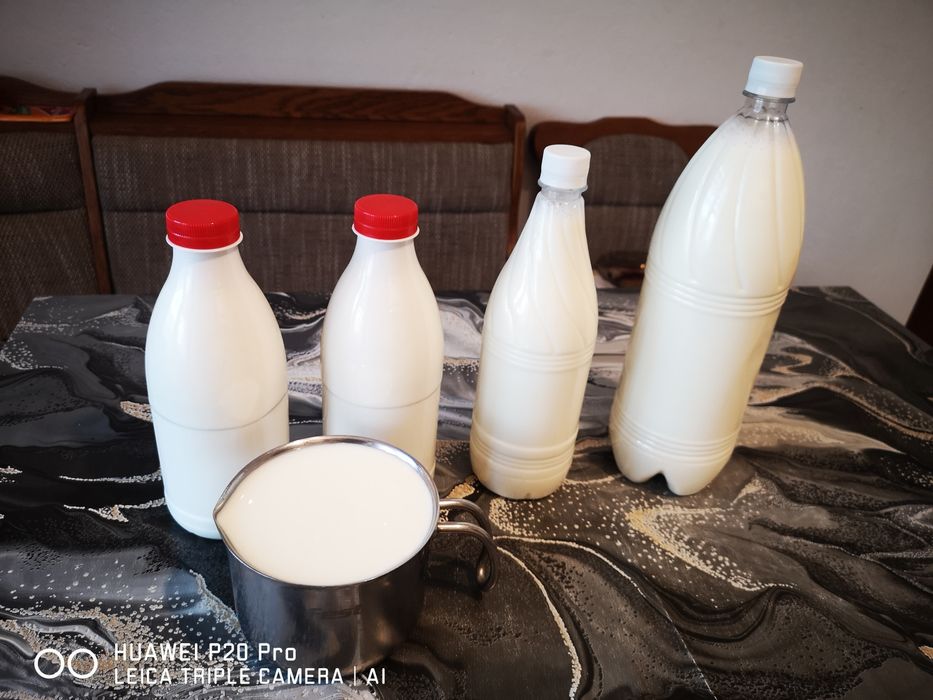 Lapte proaspăt și iaurt natural de Capră