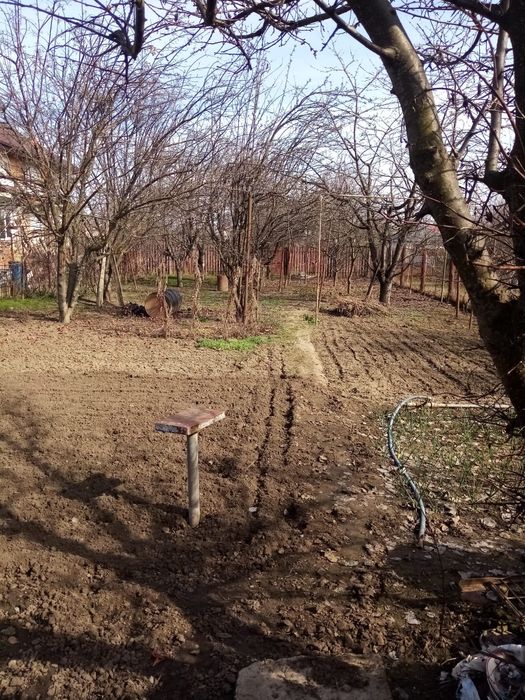 Teren de vânzare comuna Clinceni