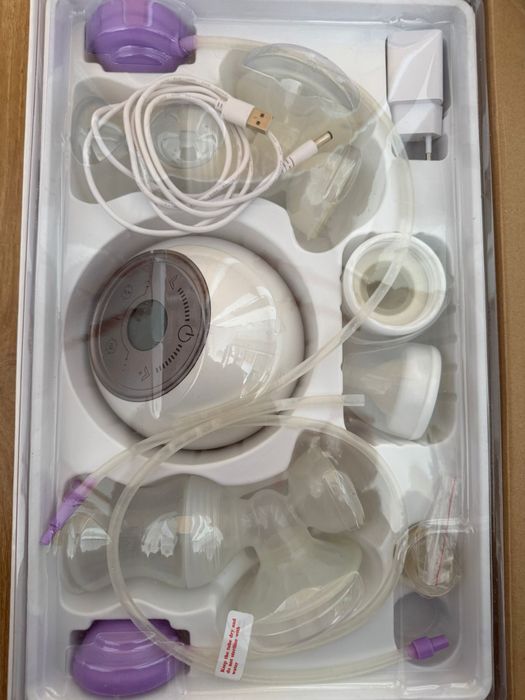 Pompa electrica de san dublu