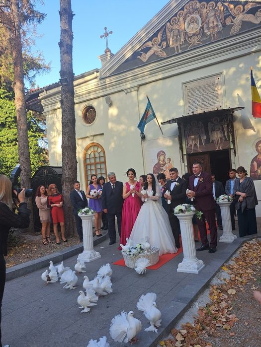 Porumbei albi, nuntă , decor biserică