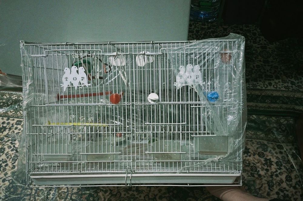 Клетка для птиц 60х40