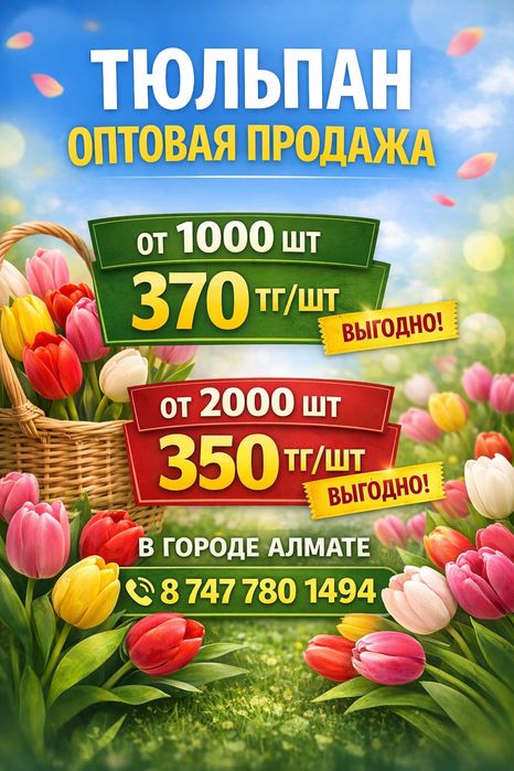 Голландские тюльпаны