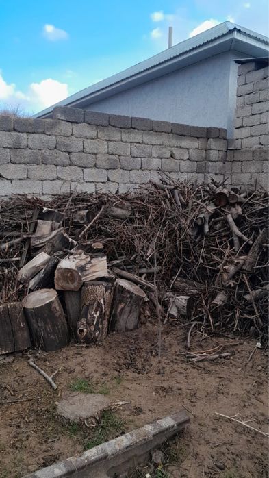 Ағаш отын кесілген