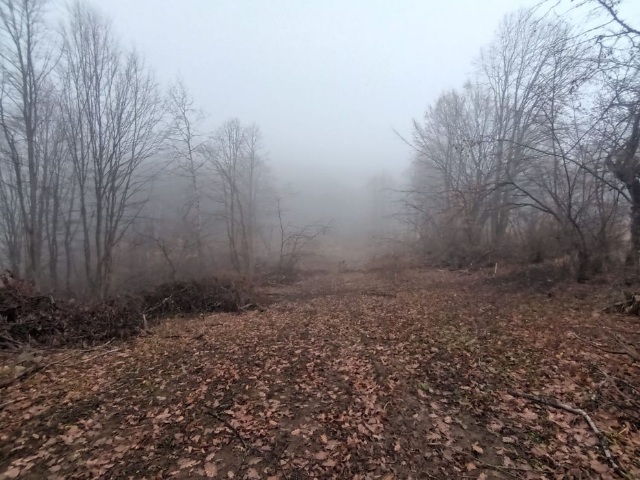 Teren intravilan 3.186 mp – Sat Vărmaga, Certeju de Sus, Hunedoara – luminiș la poalele muntelui