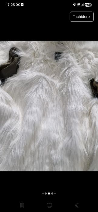 Greacă de iarnă mărimea M