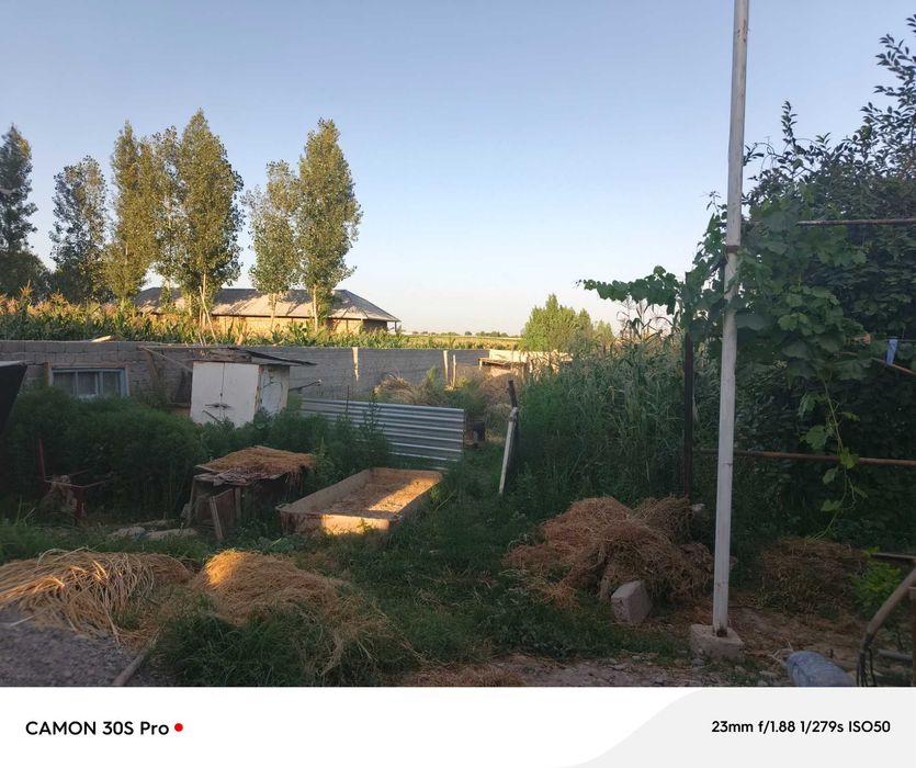 Toshkent viloyati Yangiyoʻl tumanida uyni yarmi sotiladi 4sotx