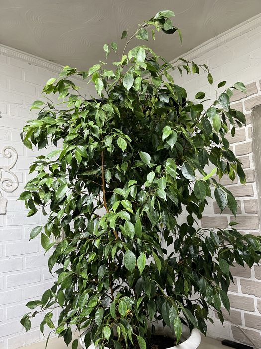 Срочно продам!!!