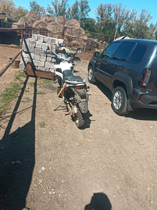 Срочно продам ALMOTOR 300