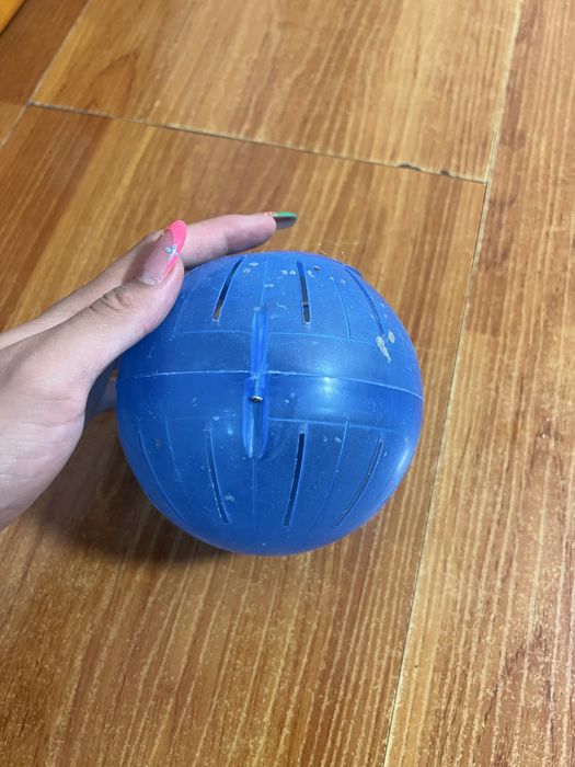 Колесо для грызунов