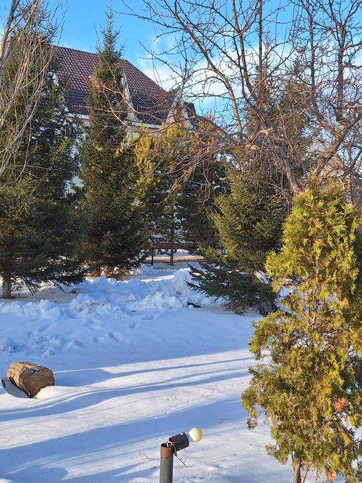 Загородный домик