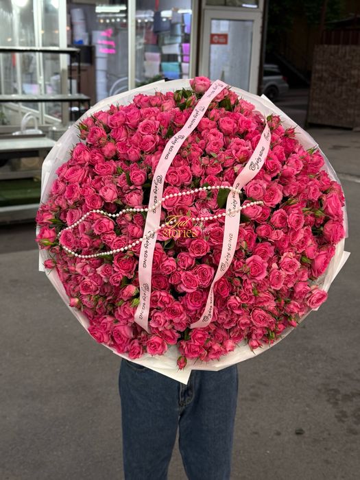 Кустовые розы София