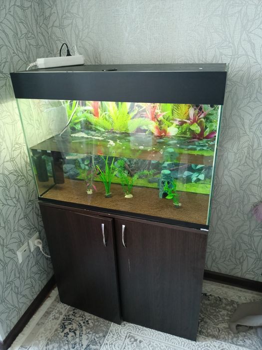 Аквариум с тумбочкой