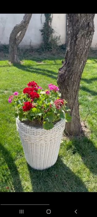 Kashpo iz rotanga kashpo.