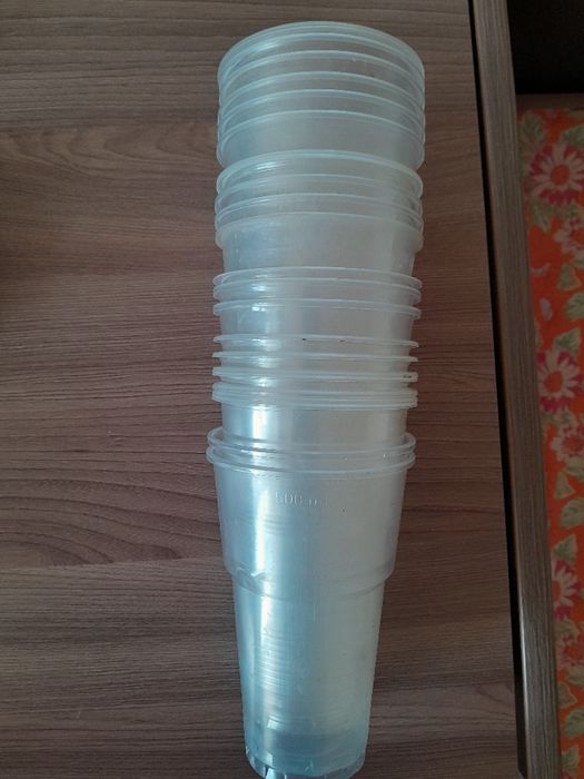 Продам семена укропа...