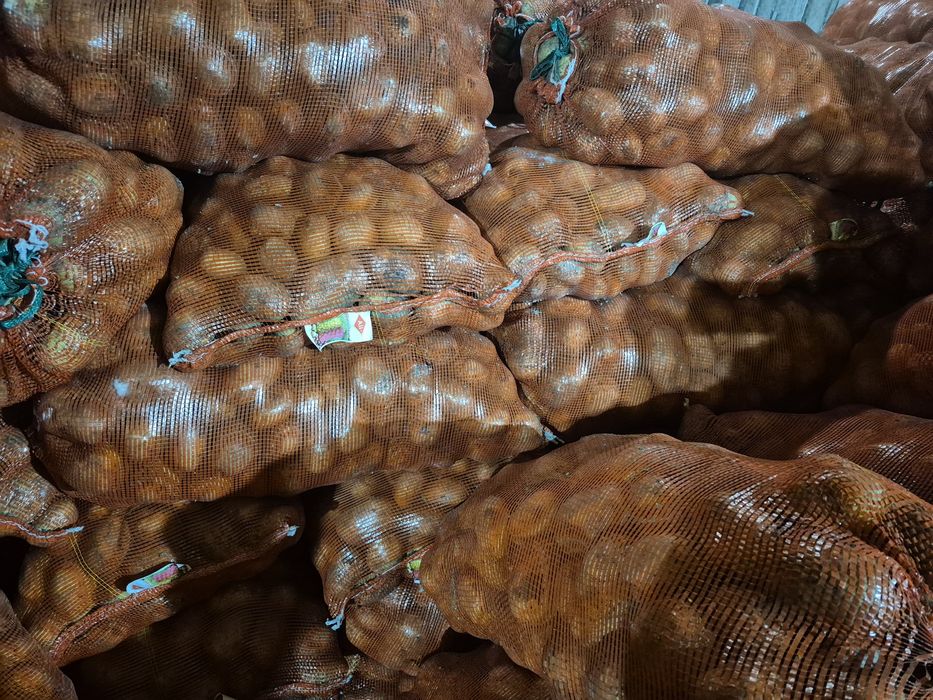 Картофель в сетках