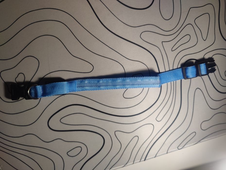 Светящиеся ошейники для собак