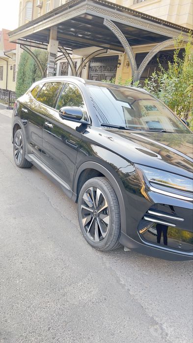 BYD chempion 2024