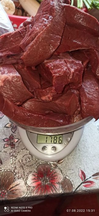 Фарш для дискусов и других рыб