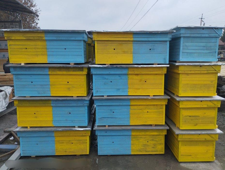 Асалари яшиклари оптом нархда сотилади