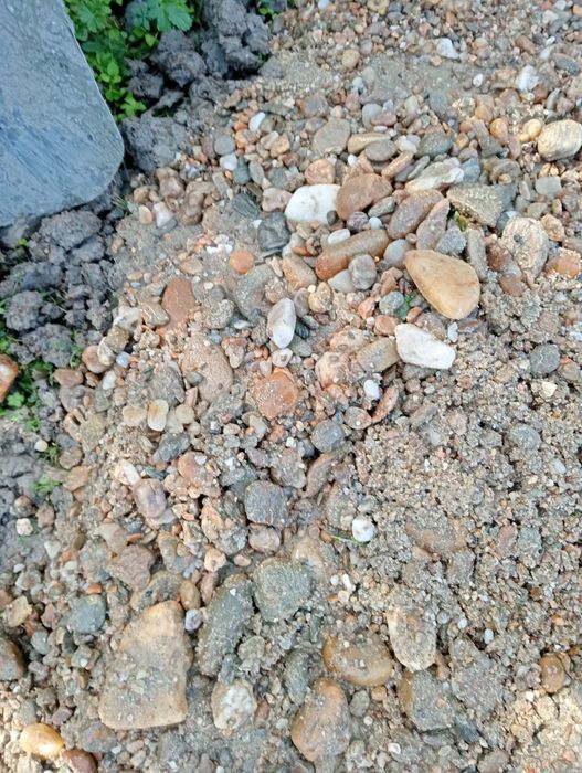 Foraje puțuri apă