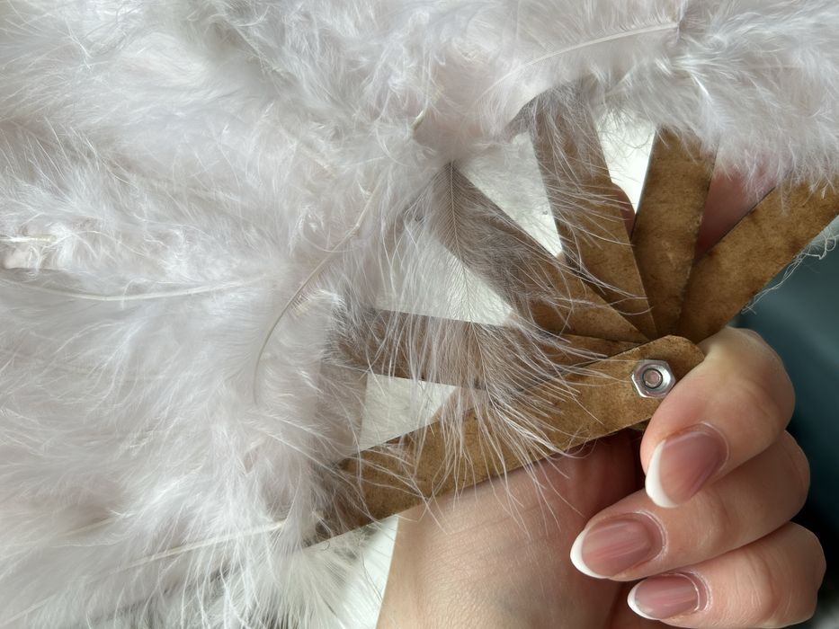 Бяло ветрило с пера