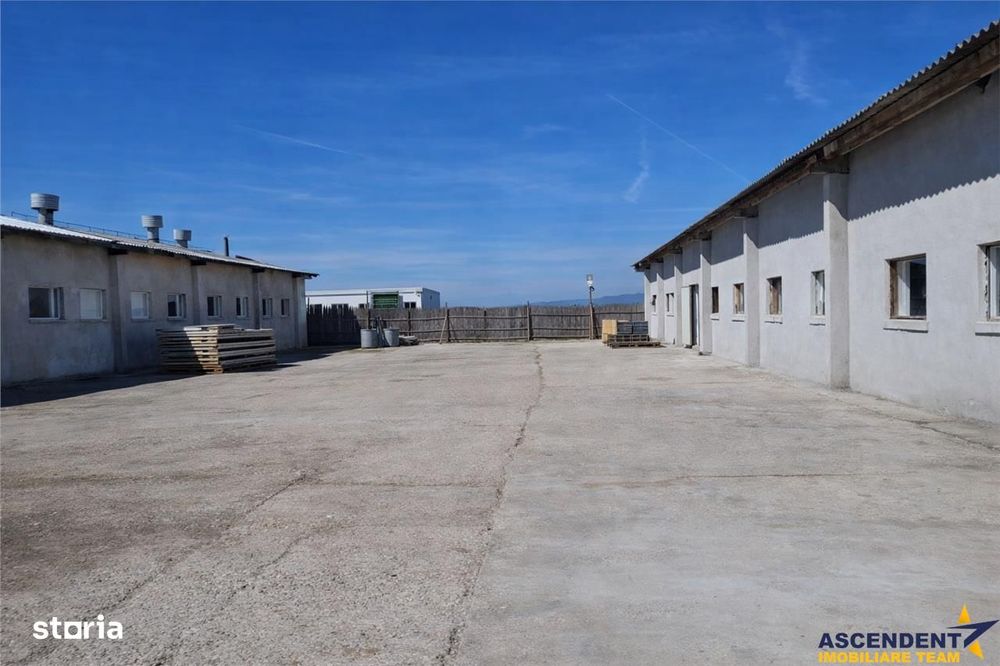 Hala versatila,spatii cazare, platforma betonata,1.150 mp teren,Halchi