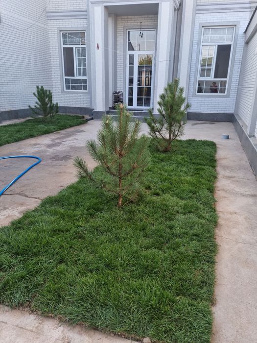 Евро катеж сотилади 2.7 сотик