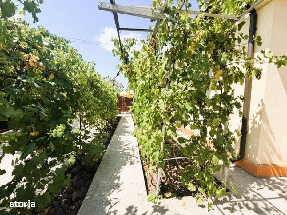 Casă renovată | teren generos 2252 mp si acces din 2 străzi