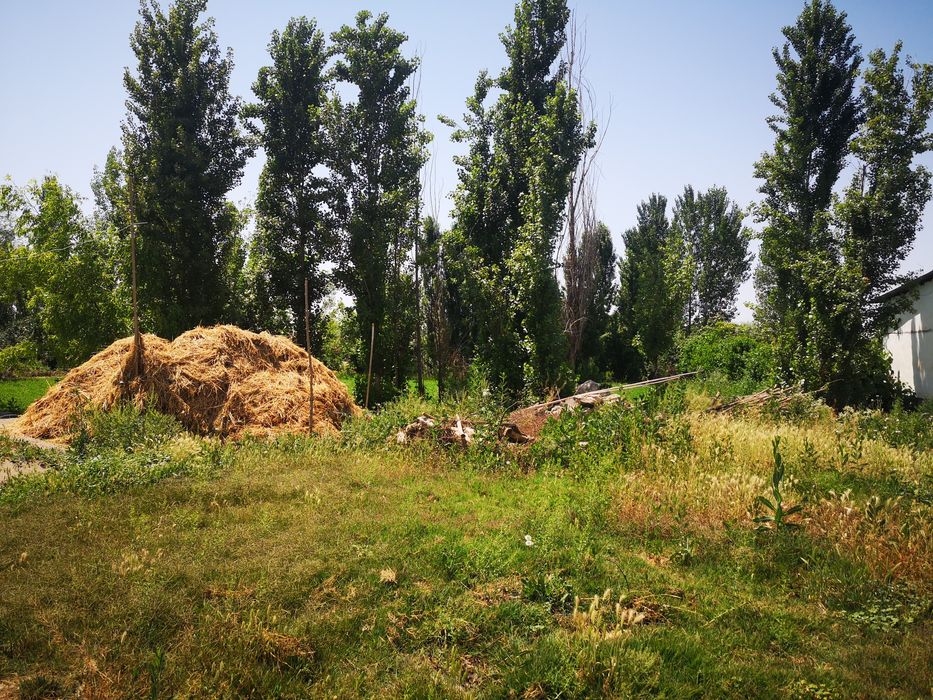 Гулистон тумани Х.Олимжон МФЙ